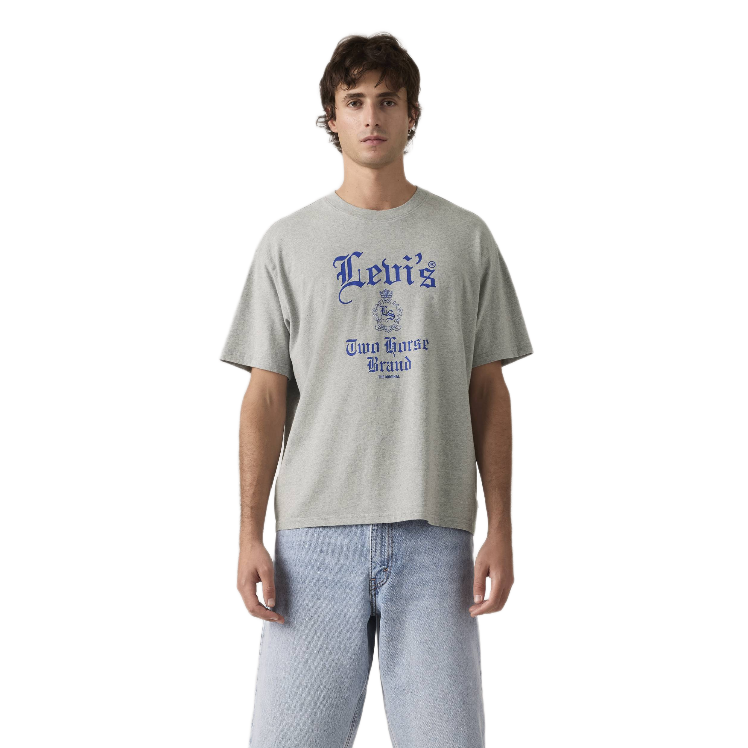 GR BOXY TEE GOTHIC LEVIS 1 MID TONE HEA