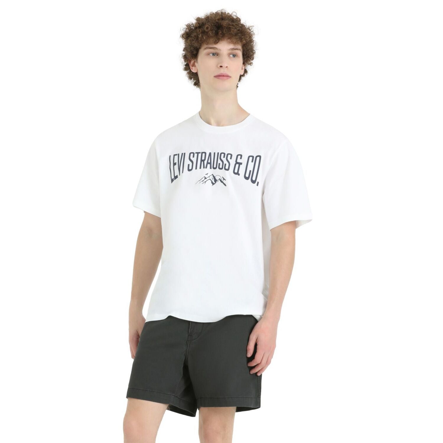 Ss Relaxed Fit Tee Levis Mountain Sceni