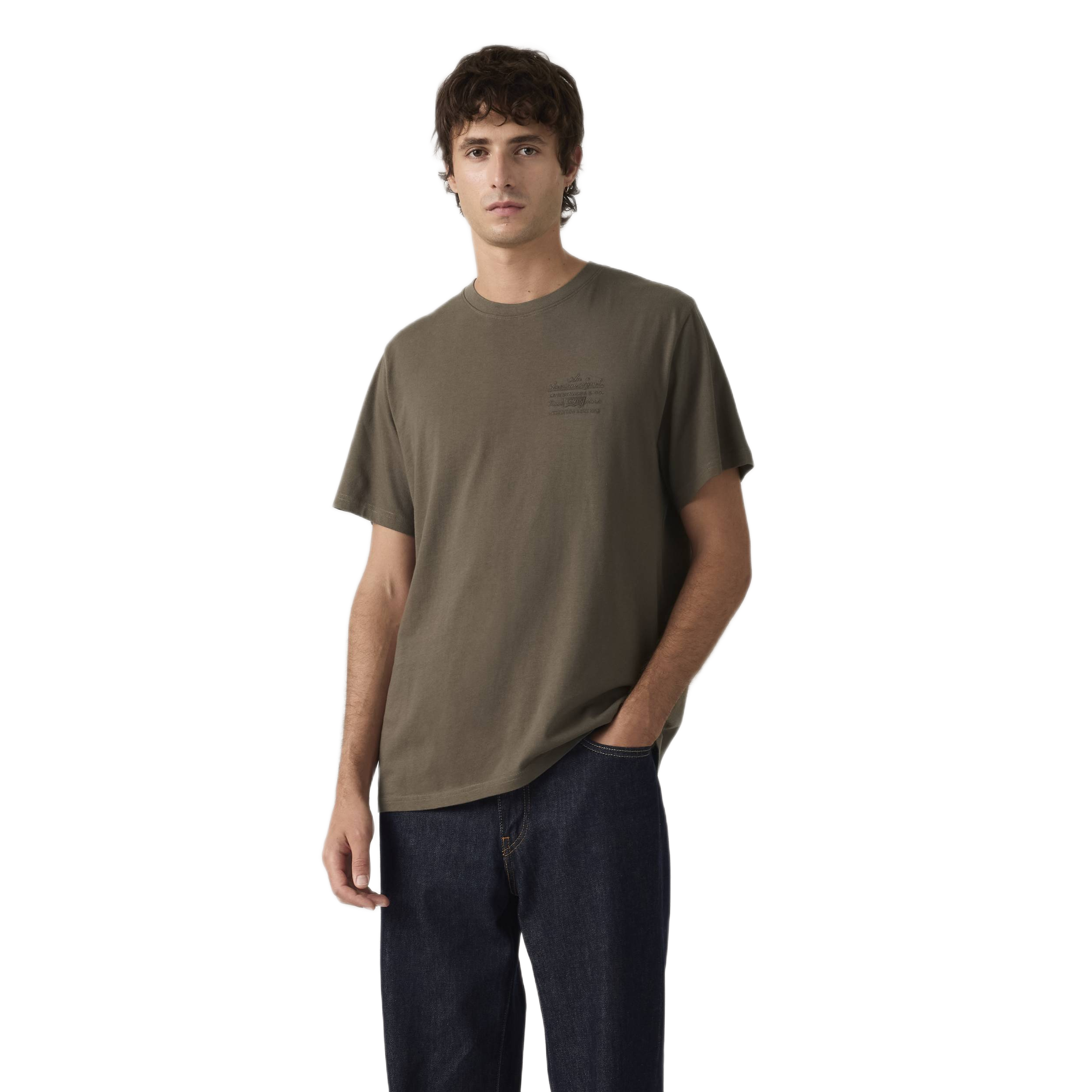 SS RELAXED FIT TEE LEVIS AMERICAN LEGE