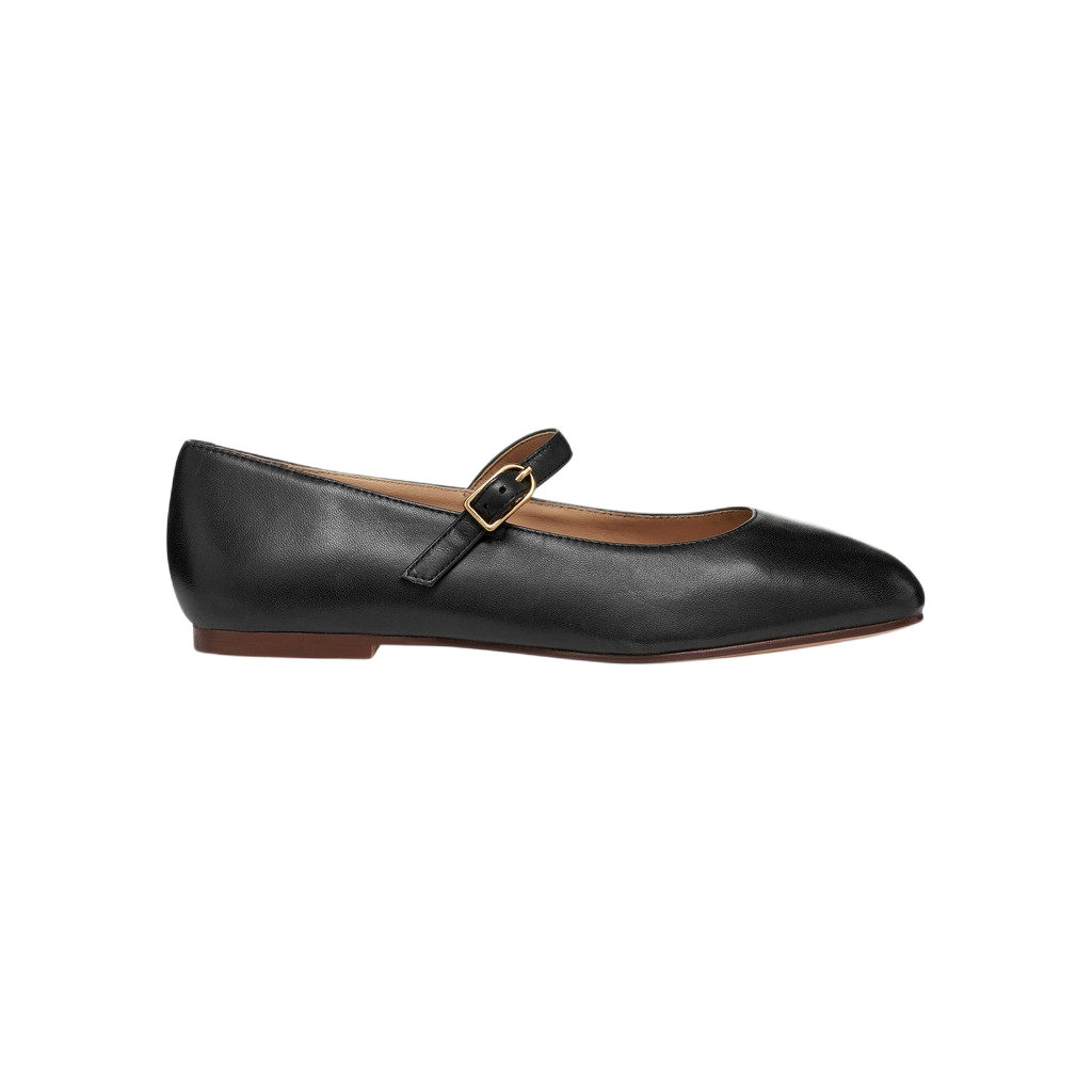 D MARSILEA BLACK