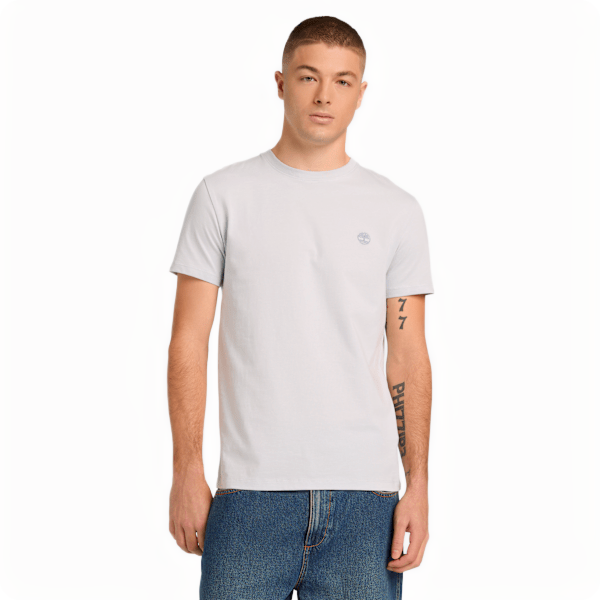 DUNSTAN RIVER SHORT SLEEVE TEE GRAY DAWN